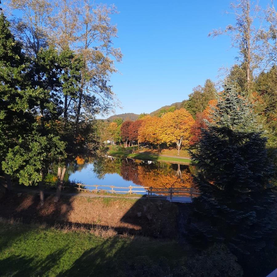 Haus Schmitten Winterberg Eksteriør billede